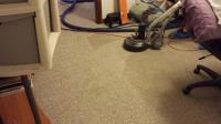 Sparky Carpet Cleaning image 2